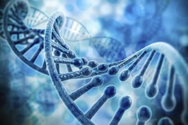 đột biến gen là gì