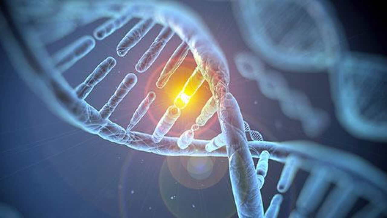 Đột biến gen là gì? Các dạng đột biến xảy ra như thế nào?