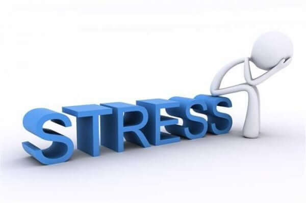 stress là gì